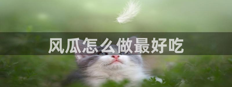 24小时吃瓜不间断:风瓜怎么做最好吃