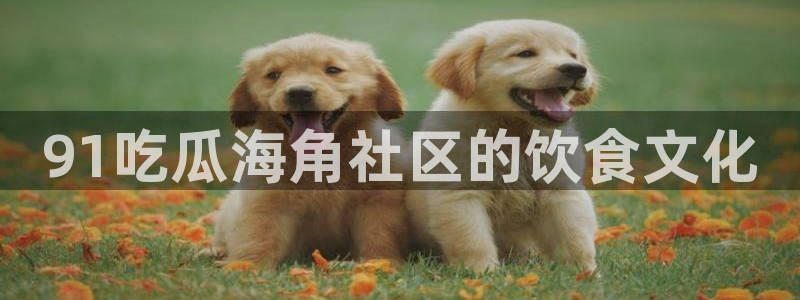 黑料,:91吃瓜海角社区的饮食文化