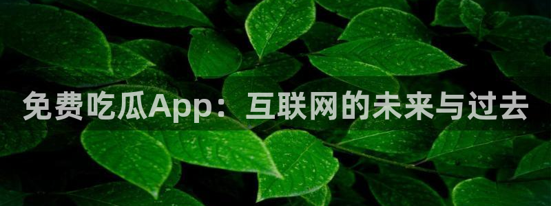 718.sⅹ 吃瓜:免费吃瓜App:互联网的未来与过去